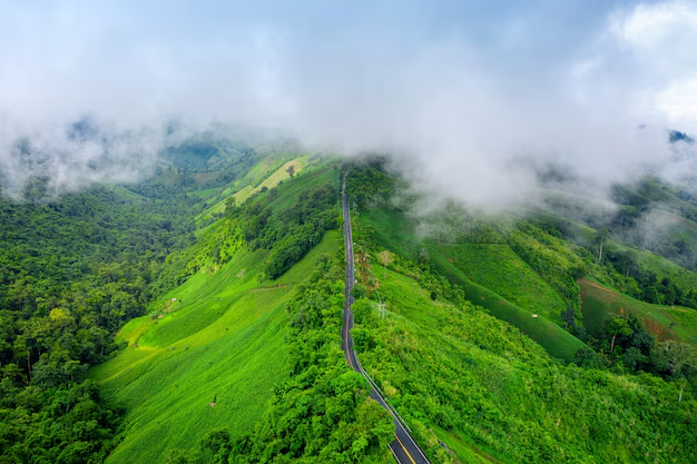 A Blissful Tour In Munnar