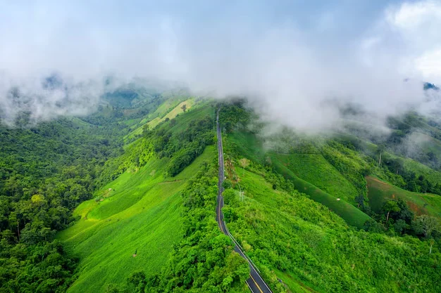 A Blissful Tour In Munnar