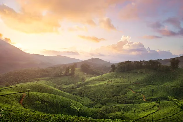 Pleasant Munnar holiday package from Delhi