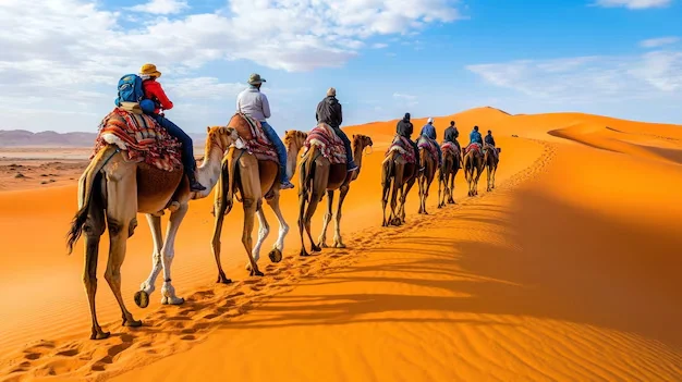 Splendid Jaisalmer Tour Package