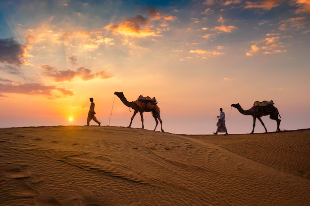 Desert Delight Rajasthan Tour Package
