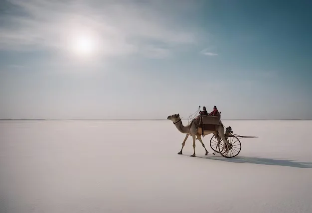 Gleeful Rann Of Kutch Tour Package