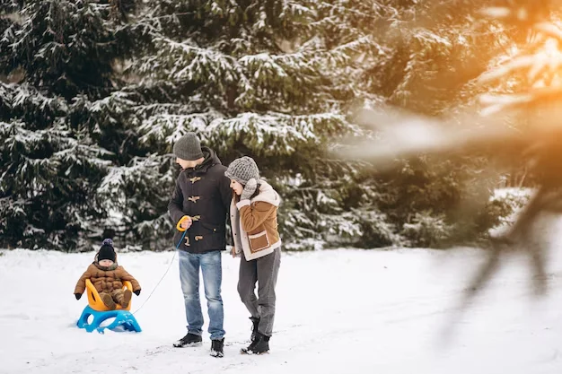 Premium Kashmir Family Package