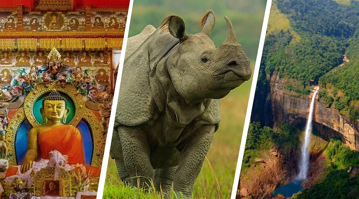 Delightful Assam Tourism Package