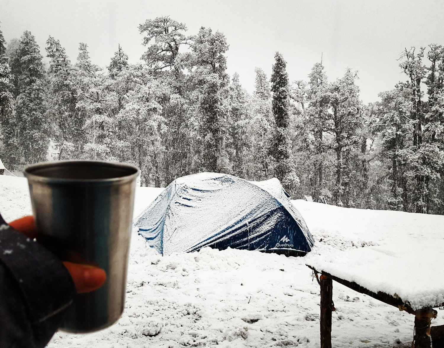 Hampta Pass Trek