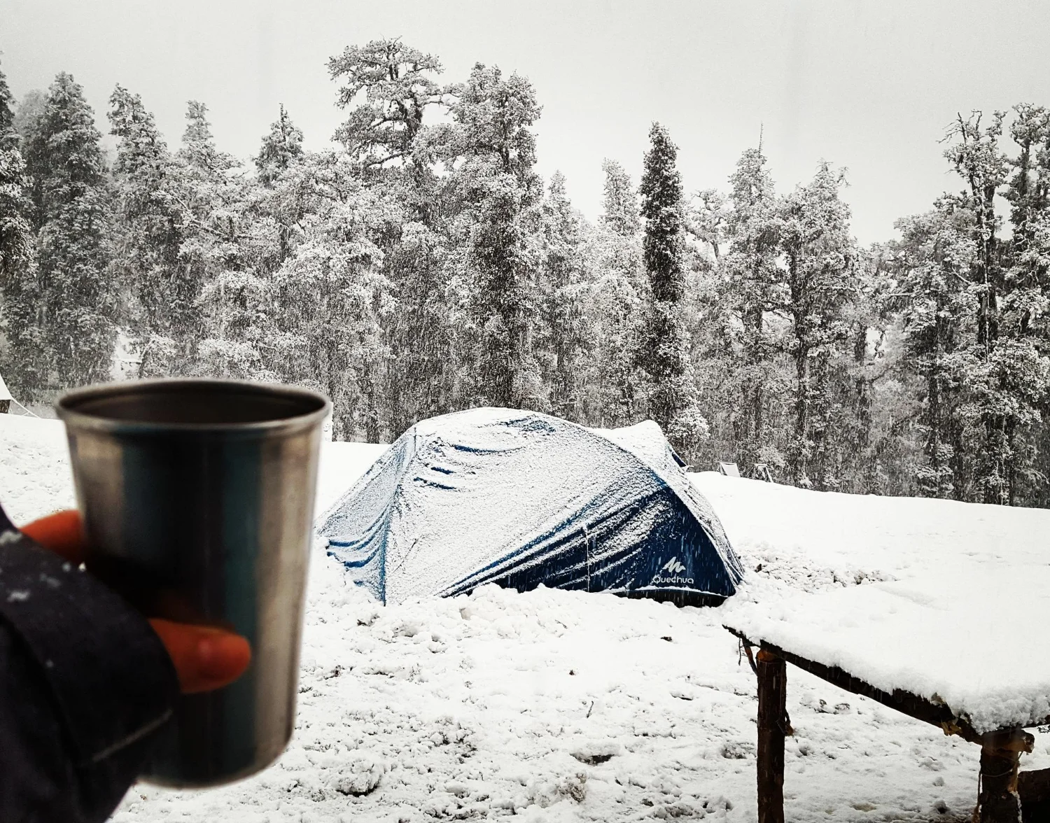Hampta Pass Trek