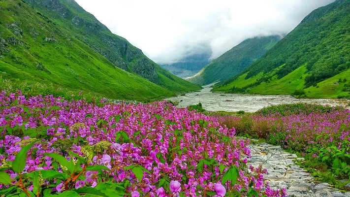 Valley of Flower Trek